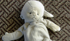 Les mineurs exposés à des violences intrafamiliales doivent bénéficier en urgence de soins spécialisés en psychotrauma, alertent des experts ( AFP / MYCHELE DANIAU )