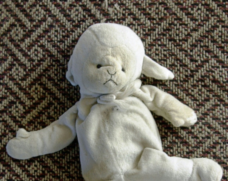 Les mineurs exposés à des violences intrafamiliales doivent bénéficier en urgence de soins spécialisés en psychotrauma, alertent des experts ( AFP / MYCHELE DANIAU )