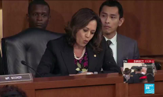 Investiture de Joe Biden : qui est Kamala Harris, la nouvelle vice-présidente des Etats-Unis ?