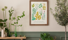 Les affiches très anciennes ont généralement davantage de valeur. Toutefois, certaines périodes plus récentes suscitent également l’intérêt des collectionneurs. ( crédit photo : Getty Images )