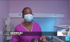 Innovation en Guadeloupe : des sargasses contre la chlordécone