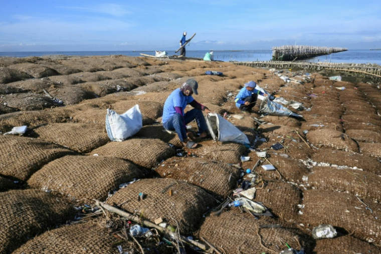 Des ouvriers enlèvent des déchets sur des sacs en fibre de coco remplis de coquilles d'huîtres, sur une digue de l'île Pamarawan, dans la ville de Malolos, aux Philippines, le 13 octobre 2026 ( AFP / Ted ALJIBE )