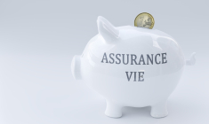 Pôle Emploi peut désormais consulter le fichier Ficovie, quel impact pour le titulaire d'une assurance-vie ? ( Crédits:  Stéphane Masclaux  - stock.adobe.com)