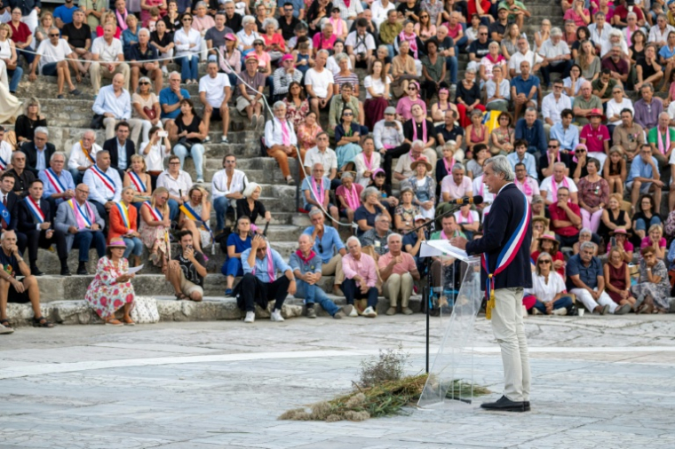 Le maire d'Arles Patrick De Carolis prend la parole dans un rassemblement d'élus, d'agriculteurs et de militants écologistes, opposés à un projet de ligne à très haute tensions, dans le théâtre antique d'Arles le 19 septembre 2026 ( AFP / Miguel MEDINA )