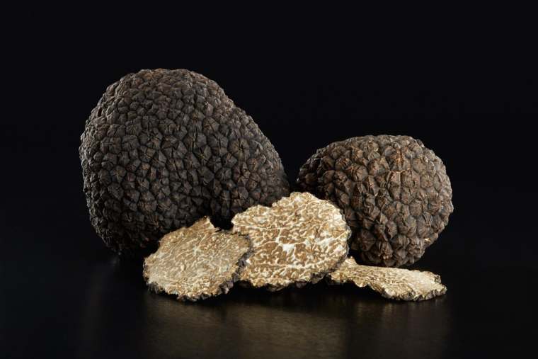 La truffe a longtemps été un mystère et on sait aujourd’hui que c’est un champignon. crédit photo : Shutterstock
