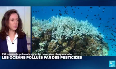 Des pesticides jusqu'au fond des océans