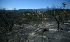 Une zone brûlée près de la commune d'Ille-sur-Têt et de Perpignan, alors qu'un incendie fait rage dans le département des Pyrénées-Orientales, le 7 juillet 2026 ( AFP / Lionel BONAVENTURE )