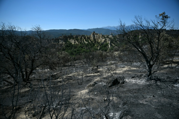 Une zone brûlée près de la commune d'Ille-sur-Têt et de Perpignan, alors qu'un incendie fait rage dans le département des Pyrénées-Orientales, le 7 juillet 2026 ( AFP / Lionel BONAVENTURE )