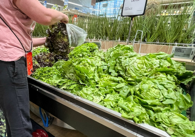 ( AFP / DENIS CHARLET )