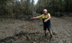 André Prouvoyeur montre le chemin d'où serait parti l'incendie, à Saumos, en Gironde, le 30 juillet 2026 ( AFP / ALAIN JOCARD )