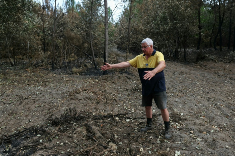 André Prouvoyeur montre le chemin d'où serait parti l'incendie, à Saumos, en Gironde, le 30 juillet 2026 ( AFP / ALAIN JOCARD )