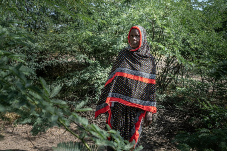 L'éleveuse Khadija Humed dans une zone complètement envahie par le prosopis, un arbuste épineux originaire d'Amérique latine, le 17 octobre 2025 à Amibara, dans la région de l'Afar, en Ethiopie ( AFP / Marco Simoncelli )