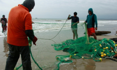 Des pêcheurs à San Pedro, une communauté en Equateur affectée par la hausse des températures du Pacifique, le 18 septembre 2026 ( AFP / Gerardo MENOSCAL )