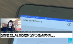 Covid 19 : que sont les régimes "2G" et "2G+" appliqués dans certains pays européens ?