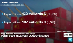 La Chine déroule le tapis rouge à l'Afrique pour relancer la coopération économique