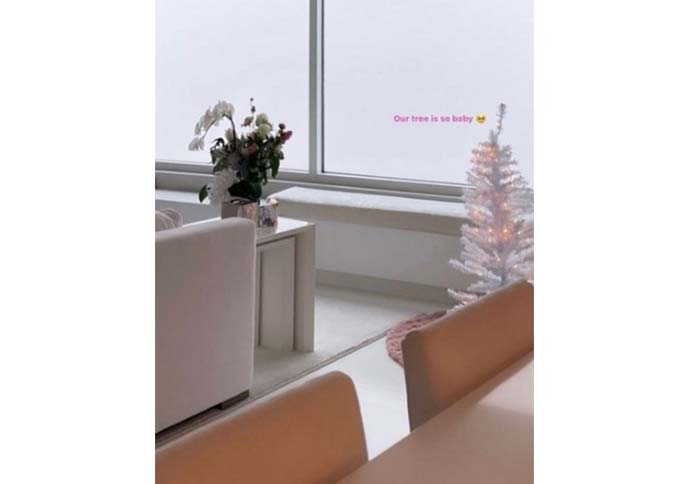 Crédit photo : Capture d'écran Instagram