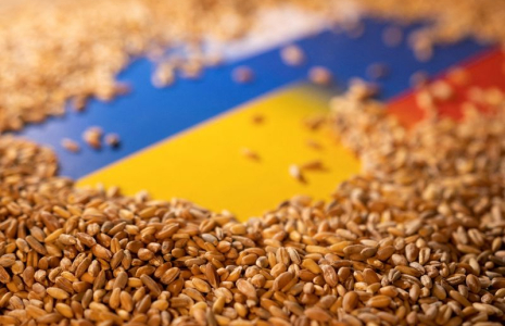 UKRAINE: 75 MILLIONS DE TONNES DE CÉRÉALES POURRAIENT ÊTRE BLOQUÉES D'ICI L'AUTOMNE, DIT ZELENSKY