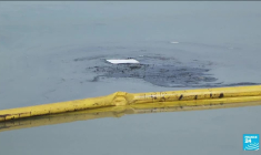 Marée noire en Californie : des "conséquences irréversibles sur l'environnement"