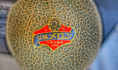 (Crédits photo : Flickr - Stuart Rankin )