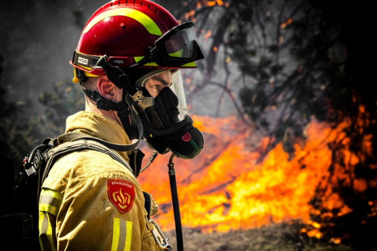 Un pompier lutte contre un feu de forêt près de Budel, au lendemain de son déclenchement sur un terrain d'entraînement militaire,le 1er mai 2026 aux Pays-Bas ( ANP / ROB ENGELAAR )
