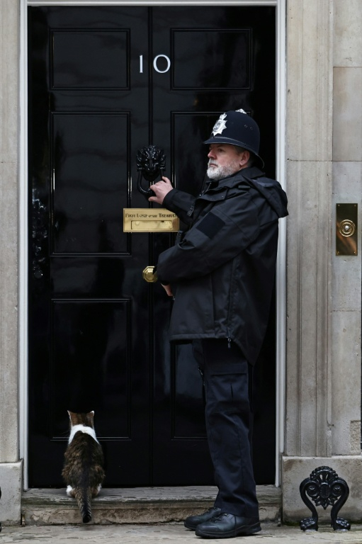 Le chat Larry attend de pouvoir rentrer au 10, Downing Street, la résidence officielle du chef de gouvernement britannique, le 9 février 2026 à Londres ( AFP / Henry NICHOLLS )