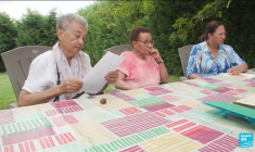 Belgique : les enfants métis du Congo belge face à la justice