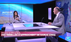 Des rebelles syriens aux portes de Damas : la loyauté de l'armée régulière en question