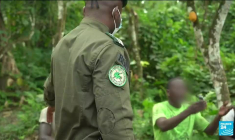 En Côte d'Ivoire, une "armée verte" contre la déforestation