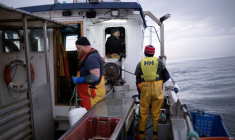 Des pêcheurs britanniques près de Whitby, au Royaume-Uni, le 16 mai 2024. (illustration) ( AFP / OLI SCARFF )