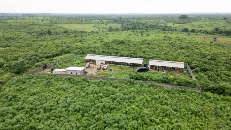 Un laboratoire clandestin de méthamphétamine abandonné, lors d’une opération de l’Agence nationale nigériane de lutte contre les stupéfiants (NDLEA) visant à démanteler le site à Iroto, au Nigeria, le 29 juillet 2026  ( AFP / TOYIN ADEDOKUN )