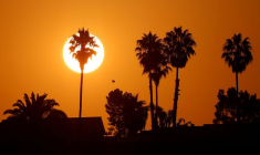L'ANNÉE 2020 EN PASSE DE DEVENIR LA DEUXIÈME LA PLUS CHAUDE JAMAIS ENREGISTRÉE