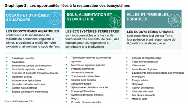 Les opportunités liées à la restauration des écosystèmes