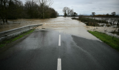 Une route inondée à Coursan, dans l'Aude, le 19 janvier 2026 ( AFP / Lionel BONAVENTURE )