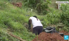 Brésil : le bilan des inondations et glissements de terrain de Petropolis s’alourdit