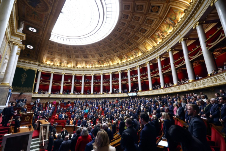 La proposition de loi pour réintroduire des néonicotinoïdes en France poursuit mardi son examen en commission des Affaires économiques ( AFP / Emmanuel Dunand )