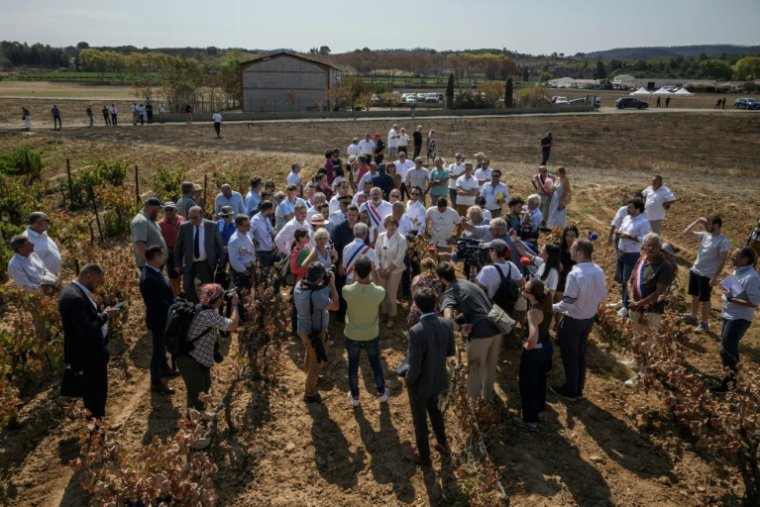 La ministre de l'Agriculture Annie Genevard (C) en visite le 14 août 2025 dans le village viticole de Saint-Laurent-de-la-Cabrerisse (Aude) touché une semaine auparavant par un incendie dévastateur ( AFP / Ed JONES )