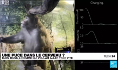 Projets d'implantation de puces dans le cerveau : ce qu'il faut savoir