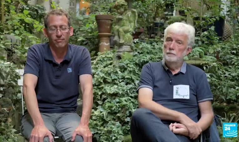 Paris : l'hécatombe des moineaux