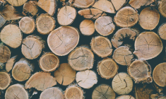 (Crédits photo : Unsplash - Ramiz Dedakovic )