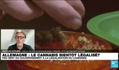 Allemagne : vers la légalisation du cannabis à des fins récréatives