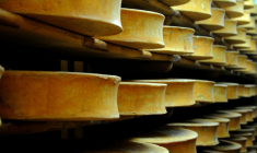Le gouvernement a autorisé un assouplissement temporaire des règles de production des fromages abondance, beaufort et comté, en raison de la sécheresse ( AFP / JEAN-PIERRE CLATOT )
