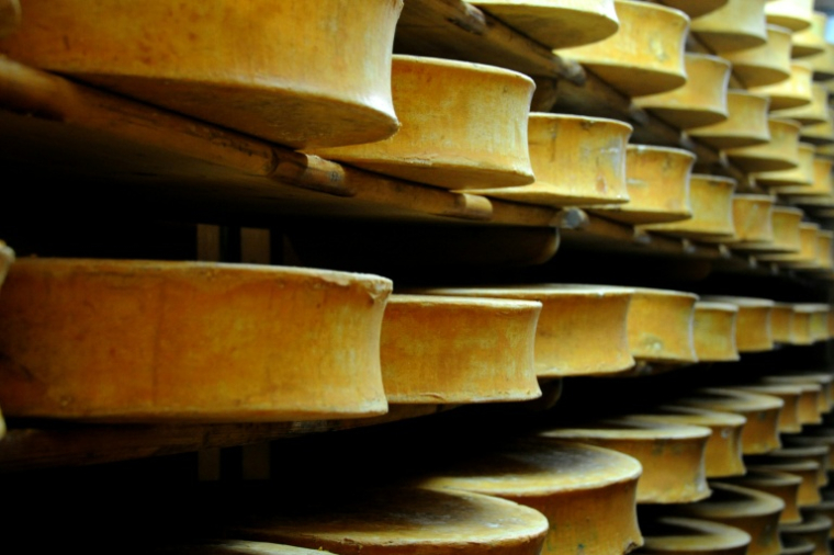 Le gouvernement a autorisé un assouplissement temporaire des règles de production des fromages abondance, beaufort et comté, en raison de la sécheresse ( AFP / JEAN-PIERRE CLATOT )