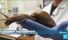 Défense du droit à l'IVG aux États-Unis : des élus démocrates arrêtés lors d'une manifestation