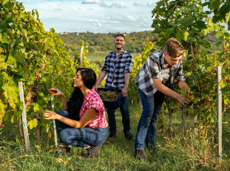 Un grand choix de petits jobs s’offre à votre ado en fonction de ses qualités, ses envies et du lieu. ( crédit photo : Shutterstock )