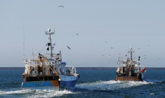 Depuis une trentaine d'années, la drogue empoisonne la pêche française. Face au nombre élevé d'accidents, une nouvelle campagne de prévention sera lancée l'an prochain ( AFP / CHARLY TRIBALLEAU )