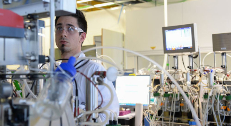 En Bourse, Global Bioenergies a perdu 27% depuis le début de l'année. (© Global Bioenergies)