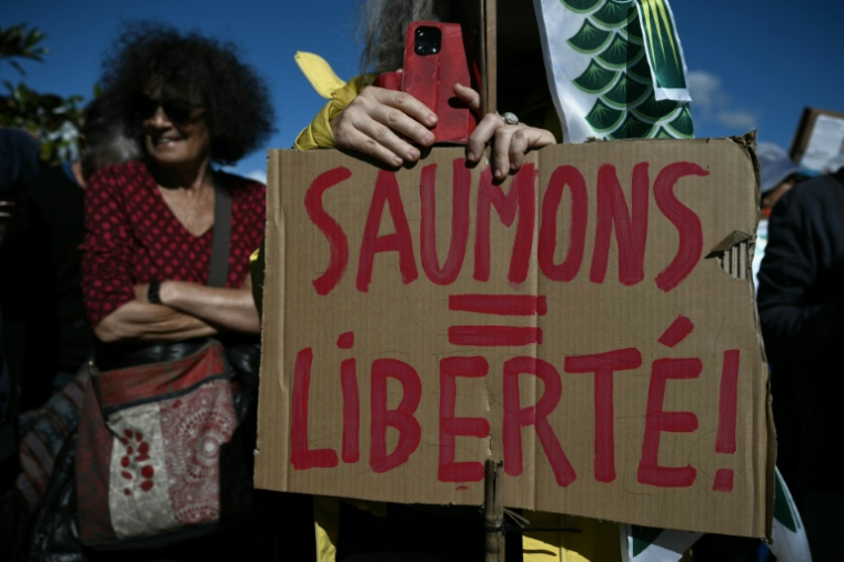 Manifestation contre le projet d’élevage industriel de saumons en milieu terrestre, le 18 octobre 2026 au Verdon-sur-Mer, en Gironde ( AFP / Philippe LOPEZ )