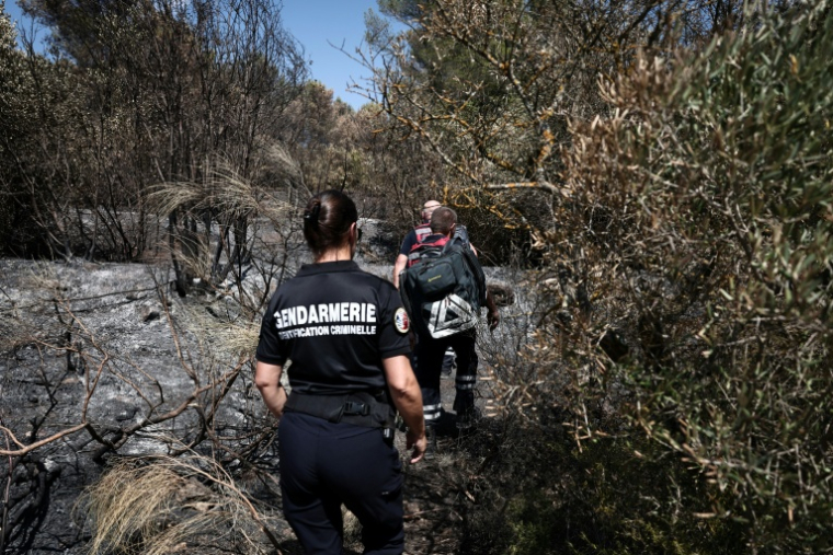 Une unité de  la cellule Recherche des causes et circonstances des incendies (RCCI) du Var, en mission sur la commune de Ponteves, le 29 juillet 2026. ( AFP / Thibaud MORITZ )