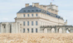 Le château de Vincennes en pleine canicule à Paris, le 13 juillet 2026 ( AFP / Martin LELIEVRE )