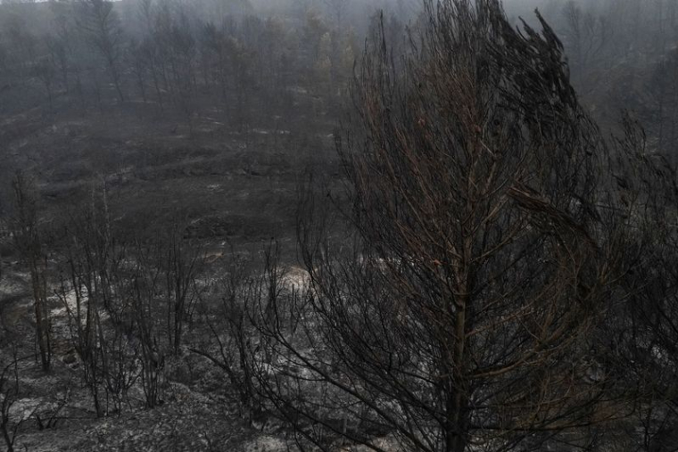 Dommages causés par un incendie dans le sud de la France